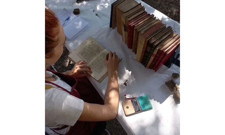 Depolveratura libro